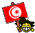 Handball en Tunisie Tunflag